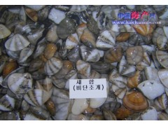 供应朝鲜原料海产品贝类鸟贝