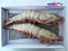 冰冻海鲜礼品