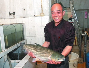 养好脆肉鲩靠水质靠饲料_淡水养殖技术_水产技术_中国