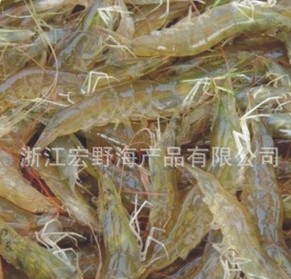 凡纳宾对虾 南美白对虾 小白虾 海鲜 纯海水 虾类