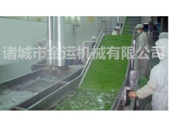 供应金运毛辊清洗机  鱼类去鳞除杂机  马铃薯去皮机  根茎类产品去泥机