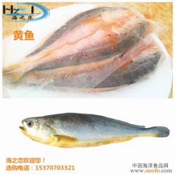 黄鱼批发：缅甸黄鱼|野生黄鱼|腌制黄鱼|咸黄鱼|开片黄鱼