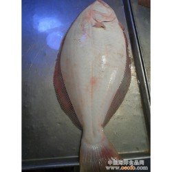 长期供应 大渔场 冷冻海鲜 海产鱼类 鲆鱼 比目鱼 牙片鱼 约1.5kg/条