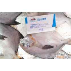 长期供应 大渔场海洋食品网 小鲳鱼 大连特产 鲜活小鲳鱼 新鲜小鲳鱼 2-3条/斤 42元/500g