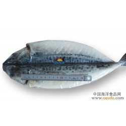 长期供应 鲅鱼 鲅鱼饼子 海鲜 一夜干鲐鲅鱼 约400g/条 26元/条