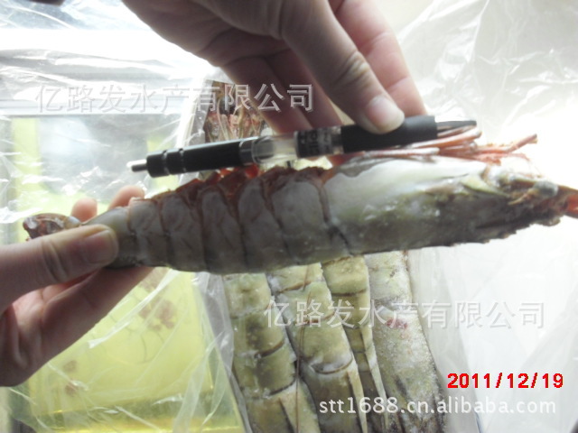 供应摆甲鱼/辫子鱼、海鲜鱼类、供全国的酒店，海鲜市场