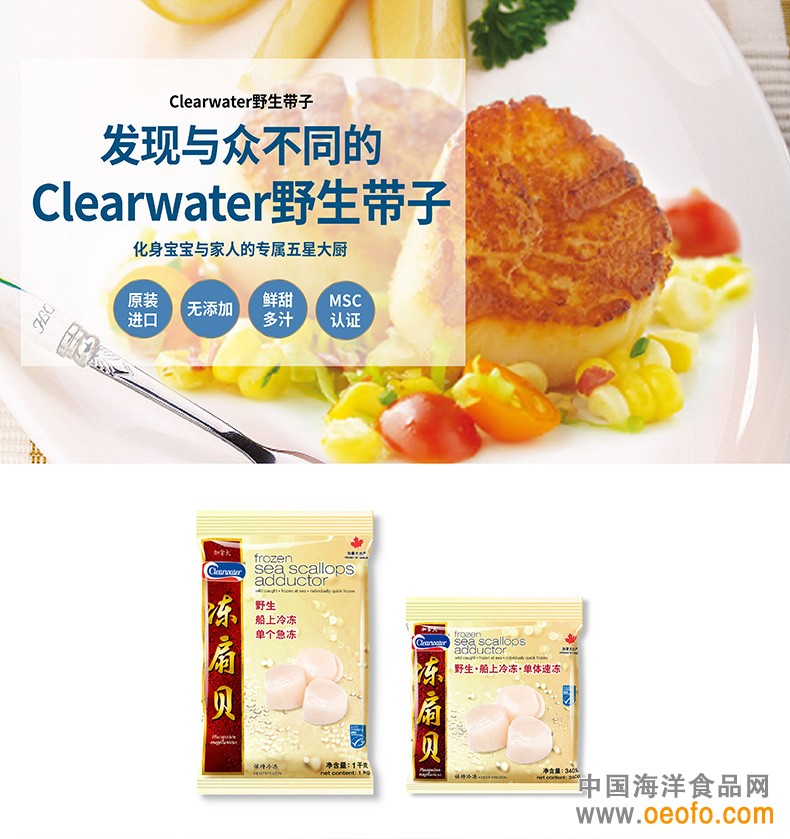 Clearwater原装进口冷冻带子贝柱 海扇贝 1kg/袋