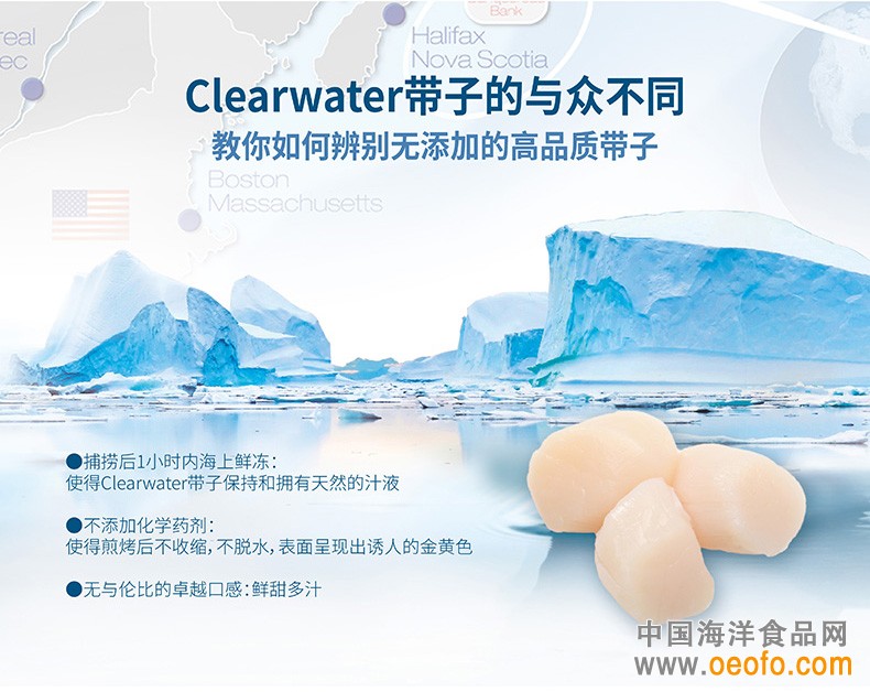 Clearwater原装进口冷冻带子贝柱 海扇贝 1kg/袋