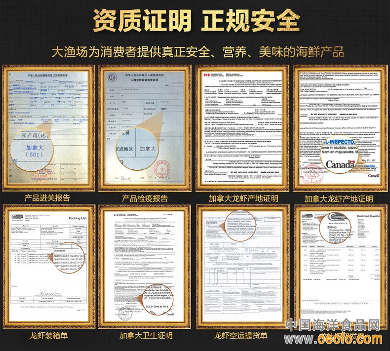 鲜活 加拿大龙虾 波士顿龙虾